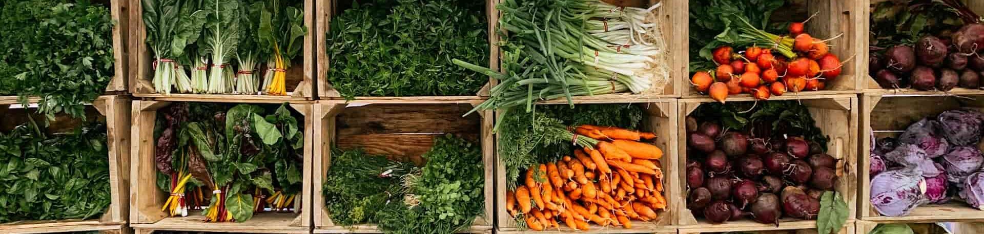 økologiske grøntsager