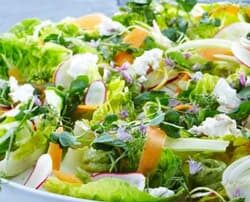 frokostordning menu med salat