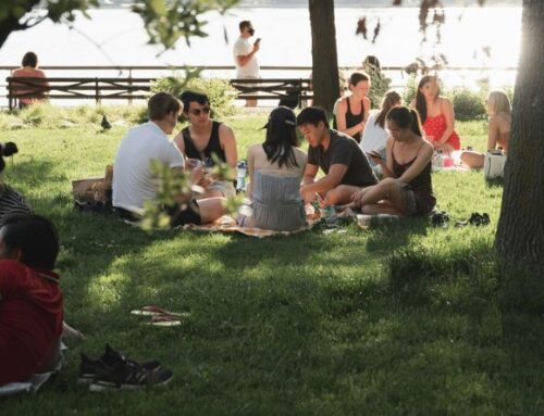 Picnic frokost: Nem picnic-mad lige til at tage med