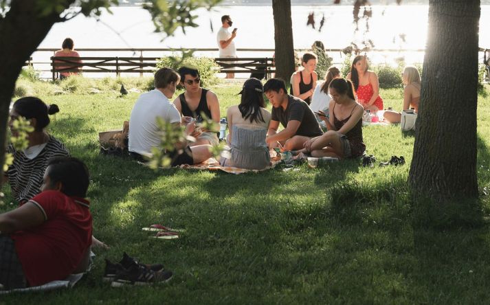 nyder medbragt picnic frokost i det fri