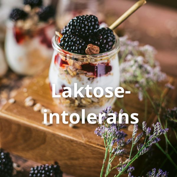 laktoseintolerans