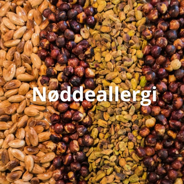 nøddeallergi