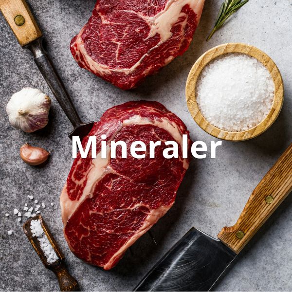 Lær om de mange mineraler i din daglige kost.
