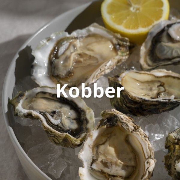Kobber