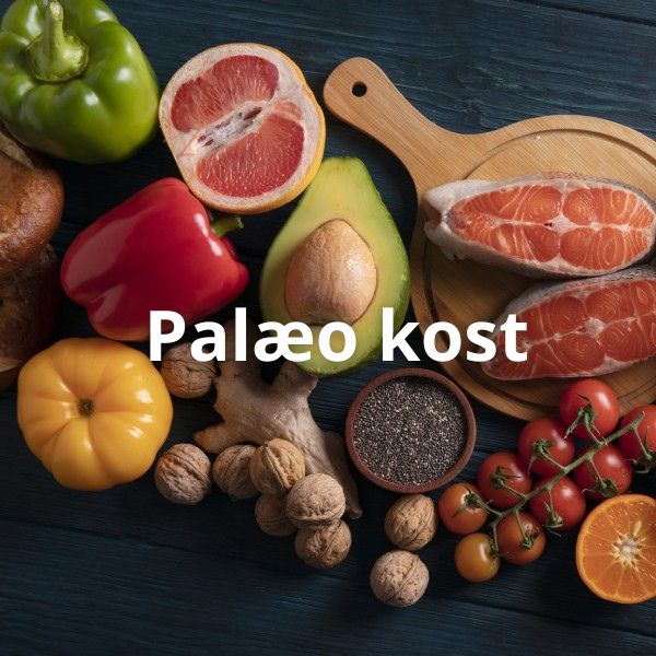 Palæo kost