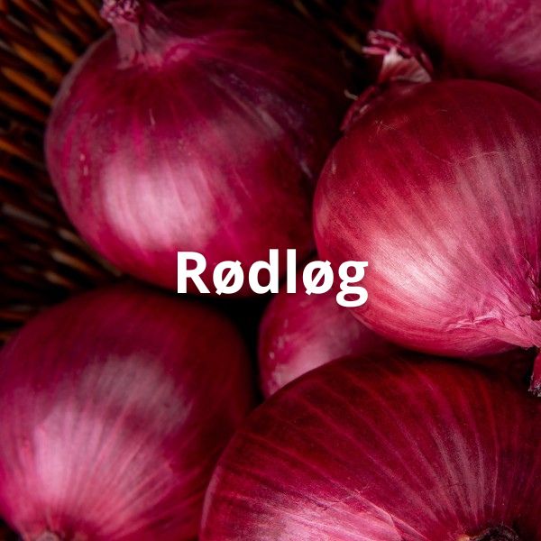 Rødløg