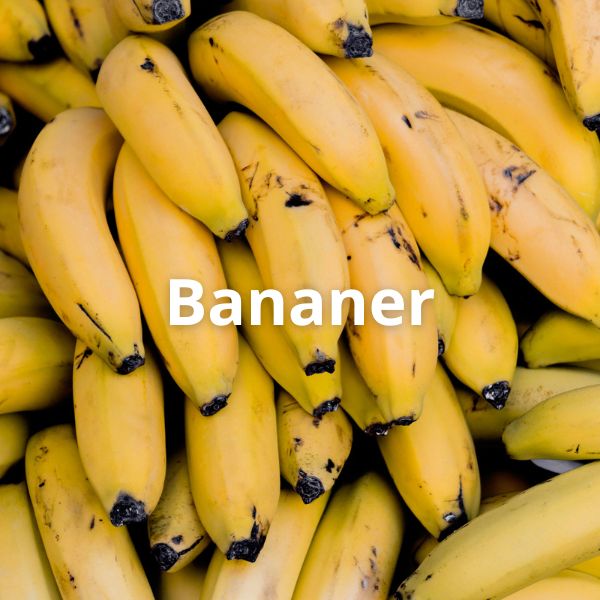 Bananer