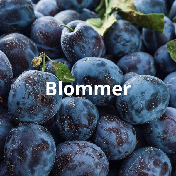 Blommer