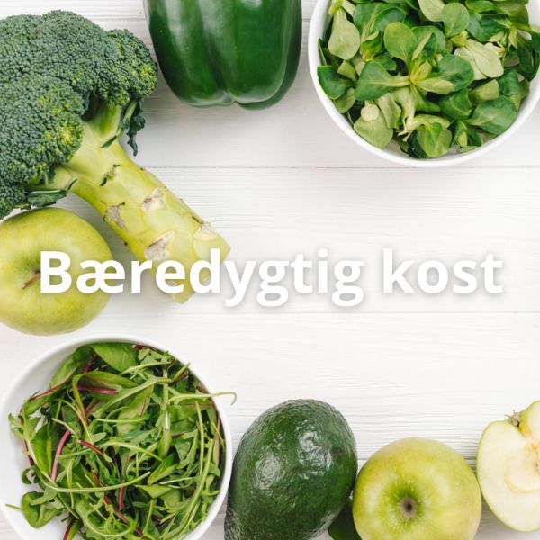 Bæredygtig kost