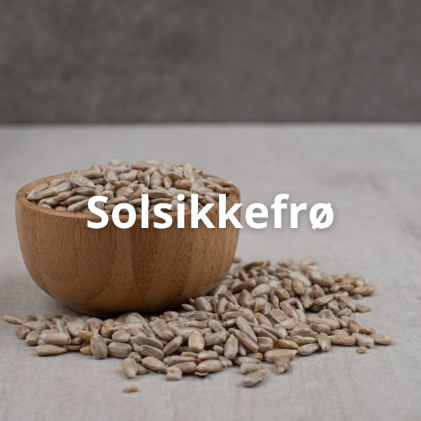 Solsikkefrø