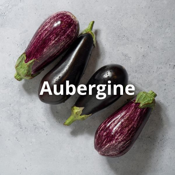 Aubergine