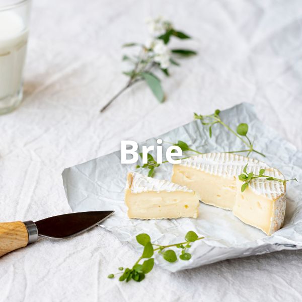 Brie