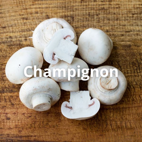 Champignon