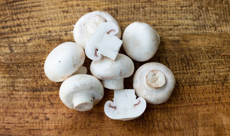 Champignon Champignon