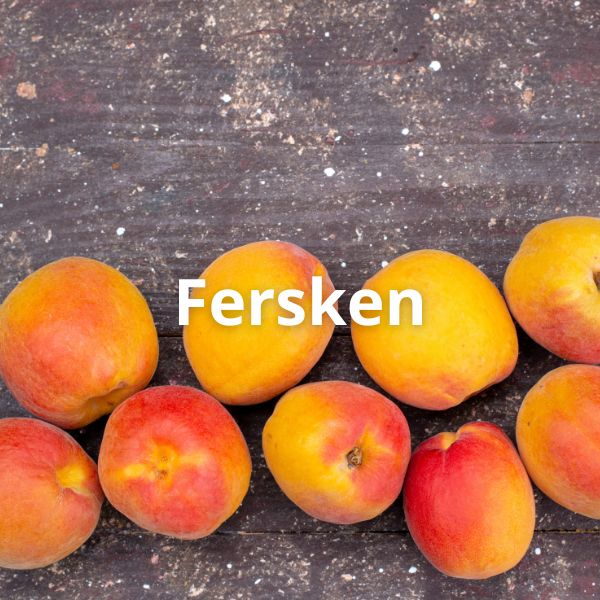 Fersken