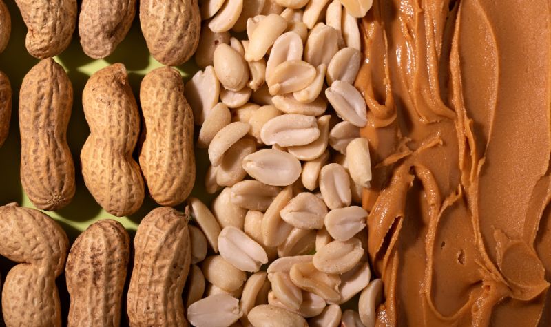 Jordnødder Jordnødder