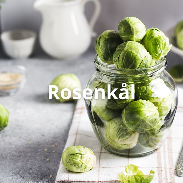 Rosenkål